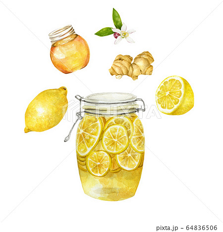 蜂蜜 レモン 生姜 水彩イラストのイラスト素材 64836506 Pixta