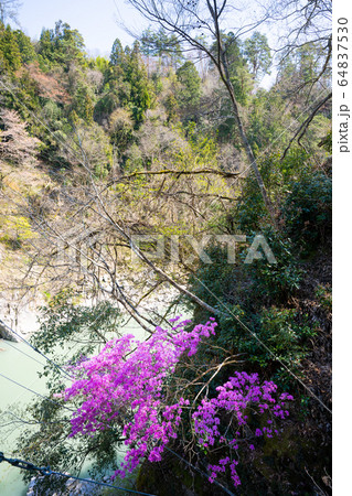 【長野県】 天龍峡 【長野県】 天龍峡 64837530
