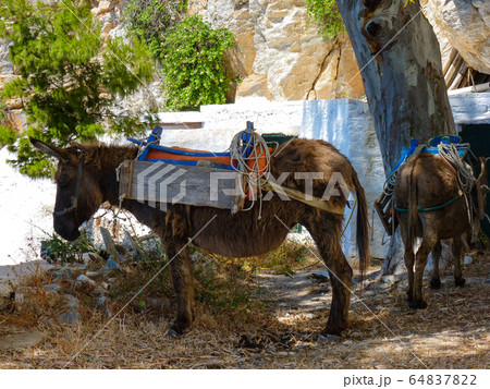 Hozoviotissa Monastery in Amorgos island, Hozoviotissa Monastery in Amorgos island, 64837822