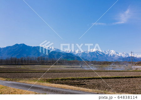 春の北アルプス：畦焼き　　大町市 64838114