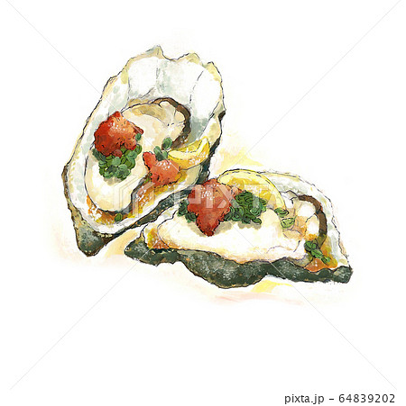 牡蠣 料理 食べ物のイラスト素材 6492
