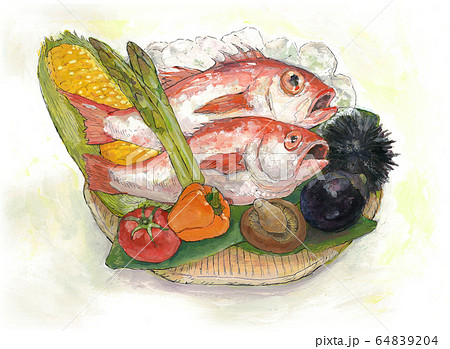 籠盛り　食材　のどぐろ 64839204