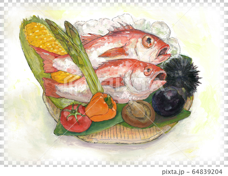 籠盛り　食材　のどぐろ 64839204