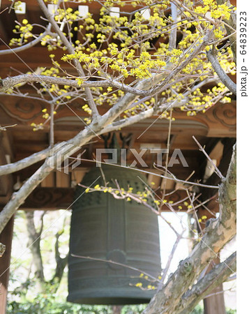 西宮の臨済宗の古寺　海清寺 64839223