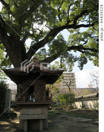 西宮の臨済宗の古寺　海清寺 64839228