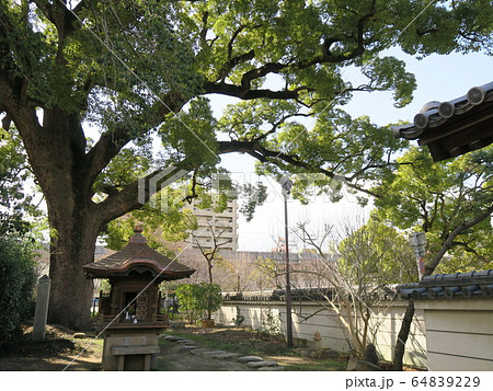 西宮の臨済宗の古寺　海清寺 64839229