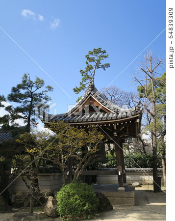 西宮の臨済宗の古寺　海清寺 64839309
