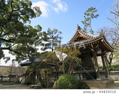 西宮の臨済宗の古寺　海清寺 64839310