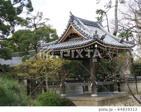 西宮の臨済宗の古寺　海清寺 64839312