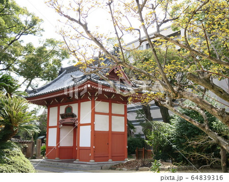西宮の臨済宗の古寺　海清寺 64839316