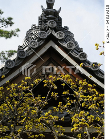 西宮の臨済宗の古寺　海清寺 64839318