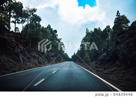 Empty road on the middle of the forest Empty road on the middle of the forest 64839448