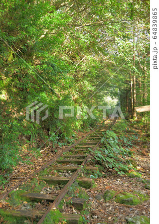 【屋久島】トロッコ道 64839865