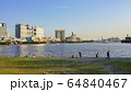 お台場　海浜公園　砂浜　人々 64840467