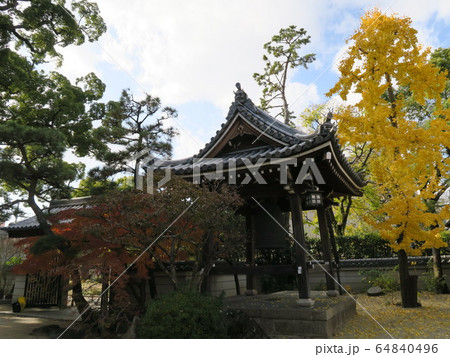 西宮の臨済宗の古寺　海清寺の紅葉 64840496