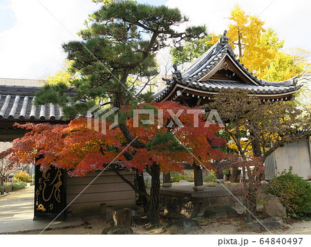西宮の臨済宗の古寺　海清寺の紅葉 64840497