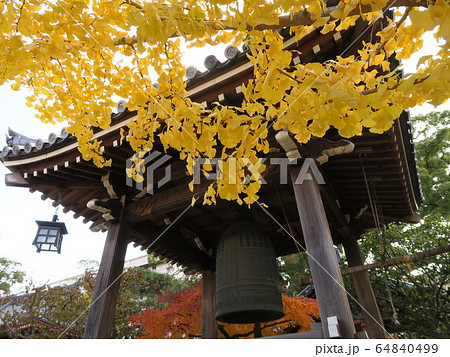 西宮の臨済宗の古寺　海清寺の紅葉 64840499