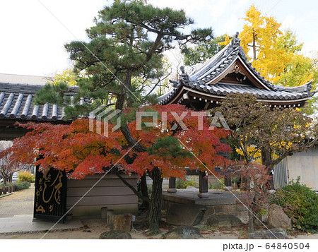 西宮の臨済宗の古寺　海清寺の紅葉 64840504
