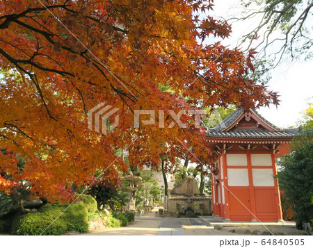 西宮の臨済宗の古寺　海清寺の紅葉 64840505