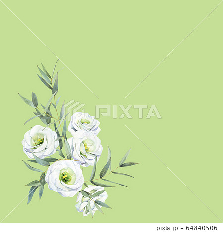 Watercolor Flowers Of White Eustoma And Eucalyptusのイラスト素材