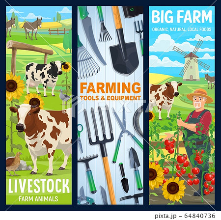 Cattle farm animals, farmer gardening tools banner 64840736
