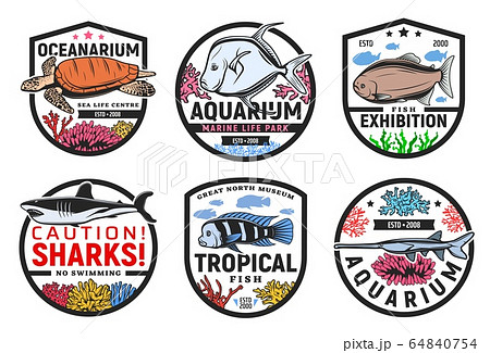 Exotic tropical sea fishes oceanarium exhibition 64840754