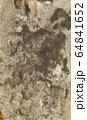 dusty textured surface background. light brown 64841652