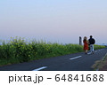 三郷　河川敷の風景 64841688