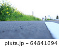 三郷　河川敷の風景 64841694