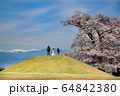 南アルプスと八代ふるさと公園古墳の甲州蚕影桜 南アルプスと八代ふるさと公園古墳の甲州蚕影桜 64842380