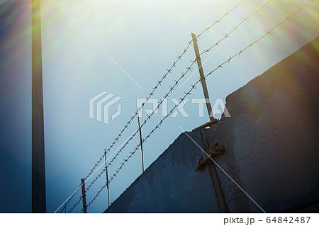 Barbed wire on a gray concrete fence 64842487
