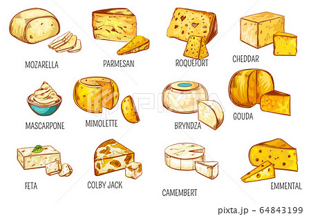 Cheese types sketch, dairy food products icons Cheese types sketch, dairy food products icons 64843199