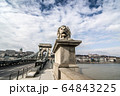 Lion on the Szechenyi Chain Bridge in Budapest, Hungary. 64843225
