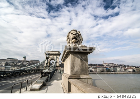 Lion on the Szechenyi Chain Bridge in Budapest, Hungary. Lion on the Szechenyi Chain Bridge in Budapest, Hungary. 64843225