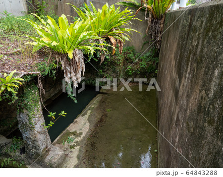 屋武多井（やんだがー）　南国の楽園　沖縄 64843288