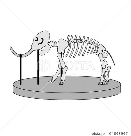 Cartoon Skeleton Of Mammoth On Paleontology In のイラスト素材