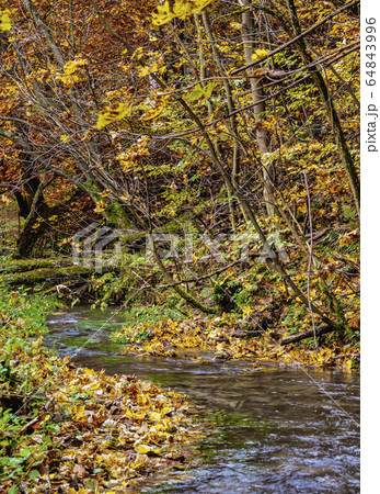 Autumn in Ojcow National Park, Poland 64843996