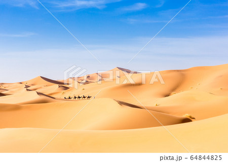 Merzouga in the Sahara Desert in Morocco 64844825