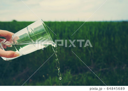 Hnd holding a glass full of pure water in nature Hnd holding a glass full of pure water in nature 64845689