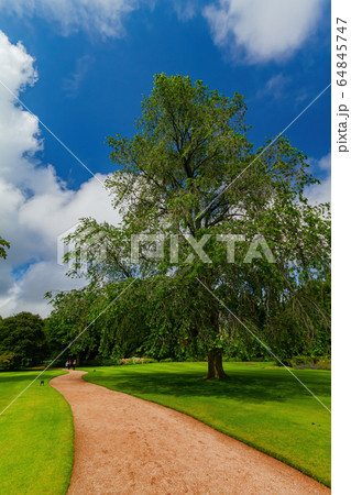 Beautiful natural garden of the Palace of Beautiful natural garden of the Palace of 64845747
