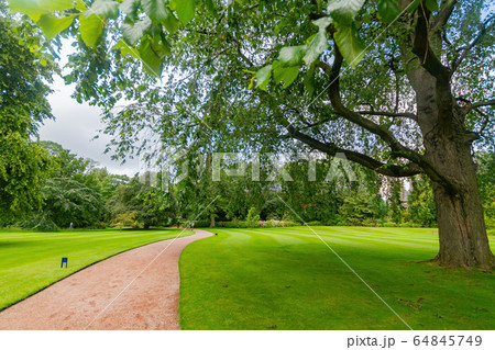 Beautiful natural garden of the Palace of Beautiful natural garden of the Palace of 64845749