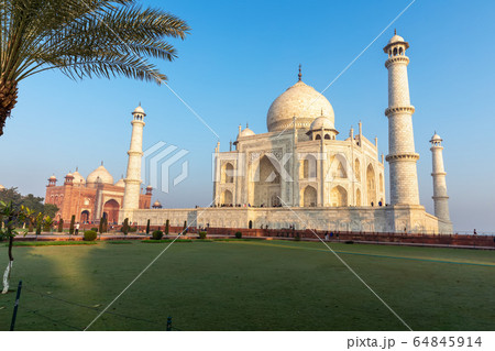 Taj Mahal view from the green garden, India, Agra 64845914