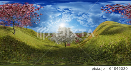 Flowering dogwood trees in orchard in spring time 3d rendering Flowering dogwood trees in orchard in spring time 3d rendering 64846020