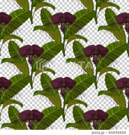 Dark purple Tacca flowers background. Tropical exotic plant seamless pattern. 64849889