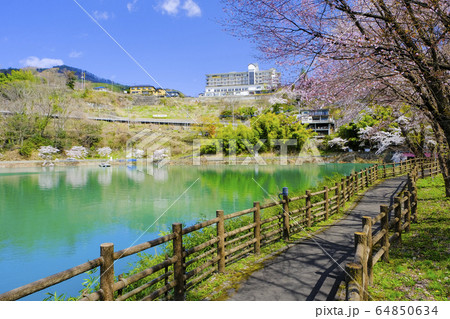 春の赤谷湖畔遊歩道 64850634