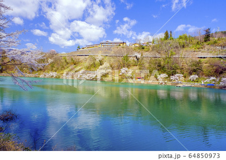 春の赤谷湖 64850973
