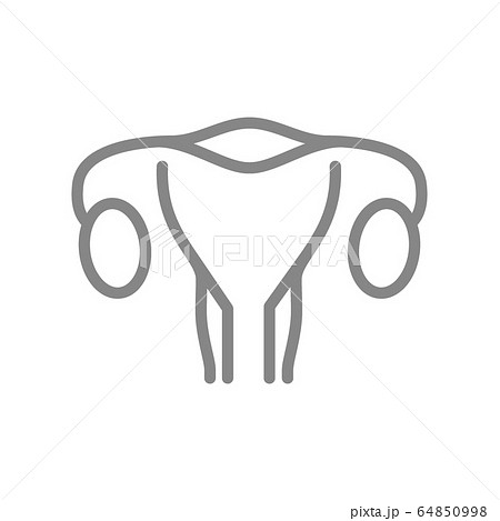 Woman uterus line icon. Healthy internal organ symbol 64850998