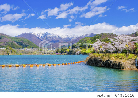 春の相俣ダム 64851016