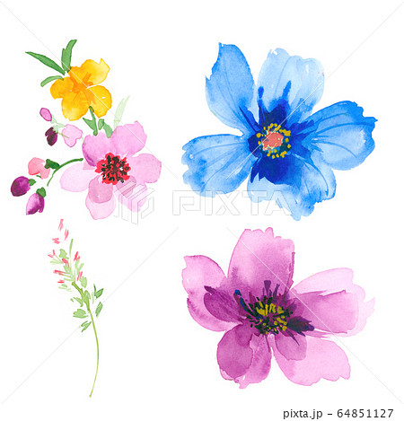 透明水彩 水彩画 花のイラスト素材