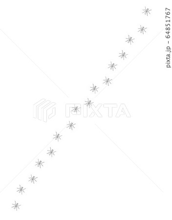 Vector hand drawn sketch ants path line 64851767
